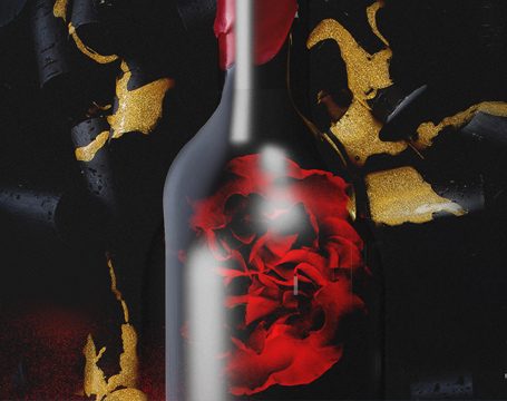 Portfolio islaNet — packaging premium bebida | dirección artística